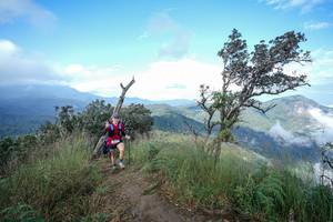 BIB: 
                            <button type="button" onclick="openModal(22371821)" class="btn btn-primary btn-sm float-right btn-popup" data-toggle="modal" data-target=".modal-high-quality">
                        <i class="fas fa-shopping-cart"></i> Add to Cart
                    </button>
                                            <button type="button" onclick="isThisMe(22371821, true)" class="btn btn-success btn-sm float-right btn-popup btn-isme hidden" data-toggle="tooltip" data-placement="bottom" title="นี่คือรูปของคุณใช่ไหม คลิกที่นี่เพื่อเอาเข้าอัลบั้ม">
                        <i class="fas fa-plus"></i> Add to album
                    </button>
                    <button type="button" onclick="isThisMe(22371821, false)" class="btn btn-warning btn-sm float-right btn-popup btn-isnotme hidden">
                        <i class="fas fa-ban"></i> Remove from album
                    </button>